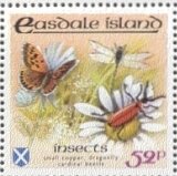 Insects