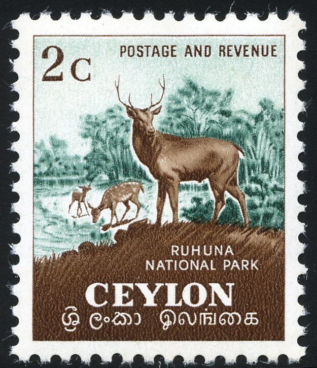 Ruhuna National Park