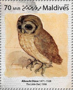 "The Little Owl" (1506)), by Albrecht Dürer
