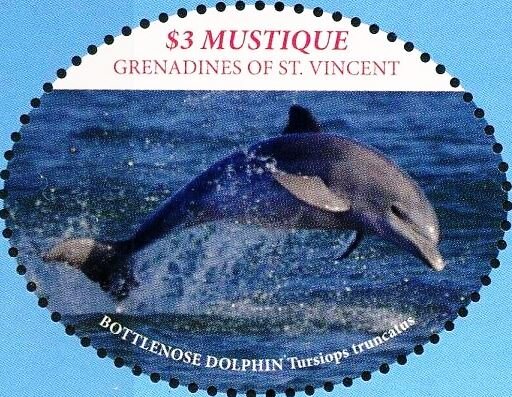 Bottlenosef dolphins