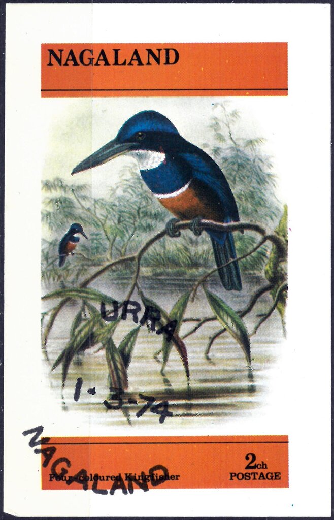 Bird