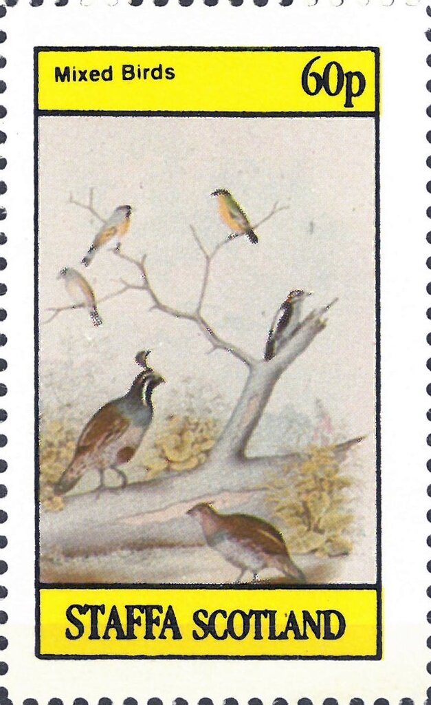 Mixed Birds