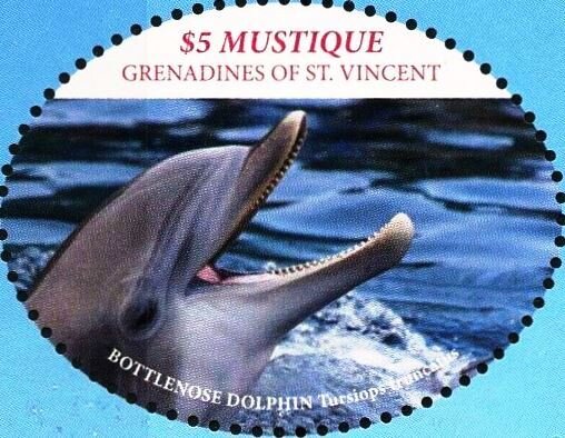 Bottlenosef dolphins