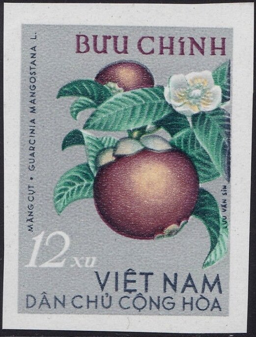 Mangosteen (Guarcinia mangostana)