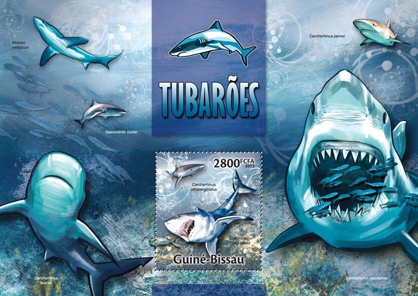 Sharks