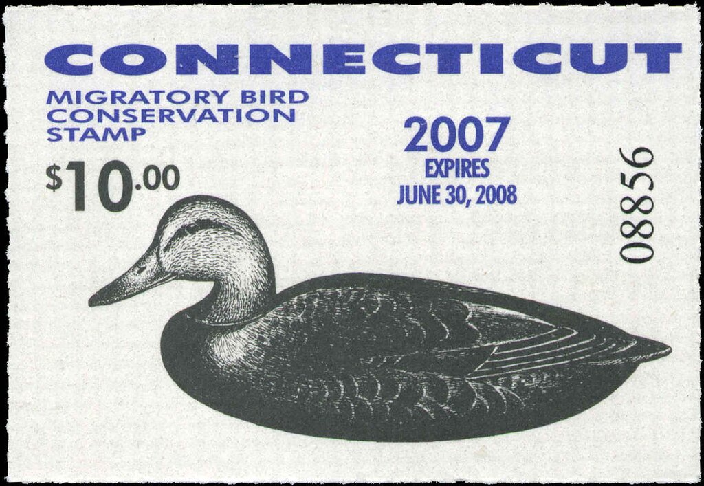 Black Duck