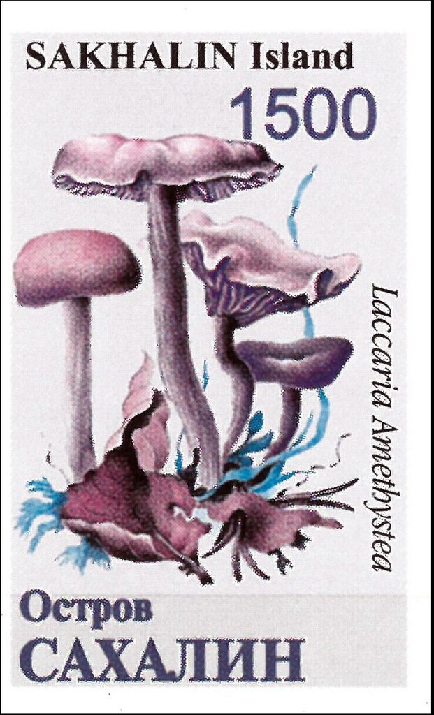 Mushrooms