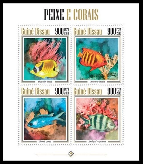 Corals Fishes