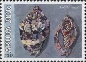 Stamp, Voluta musica, Aruba,  , Animals (Fauna), Molluscs, Sea Life, Shells, Snails and Slugs
