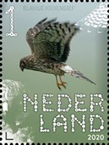 Stamp, Hen Harrier (Circus cyaneus), Netherlands,  , Animals (Fauna), Birds, Birds of Prey