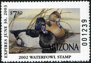 Stamp, Ring Necked, United States of America,  , Animals (Fauna), Birds, Ducks, Hunting