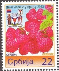 Days of Raspberry, Arilje