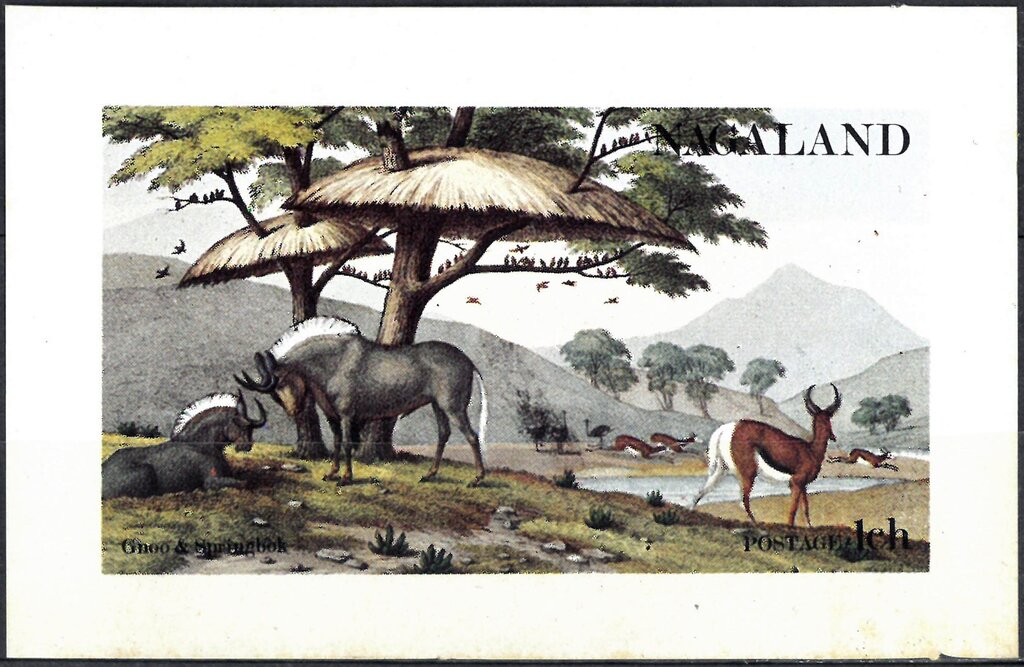 Gnoo & Springbok