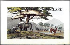 Souvenir Sheet, Gnoo & Springbok, Cinderellas,  , Animals (Fauna), Mammals