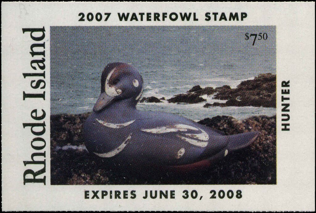 Harlequin Decoy