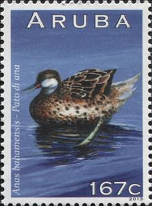 Stamp, White-cheeked Pintail (Anas bahamensis), Aruba,  , Animals (Fauna), Birds, Ducks