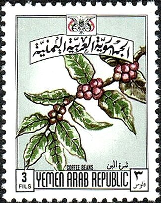 Branch of a coffee shrub