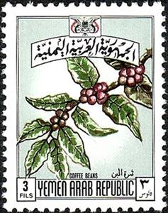 Stamp, Branch of a coffee shrub, Yemen, Arab Republic,  , Coffee, Fruits, Plants (Flora)