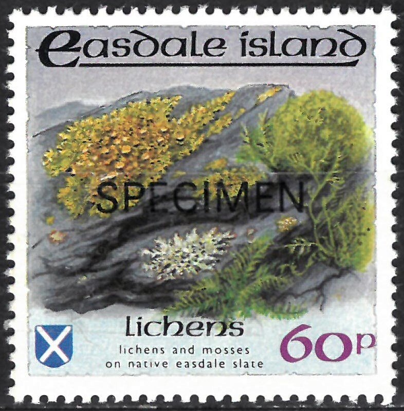 Lichens