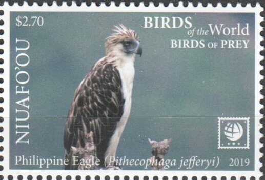 Philippine Eagle