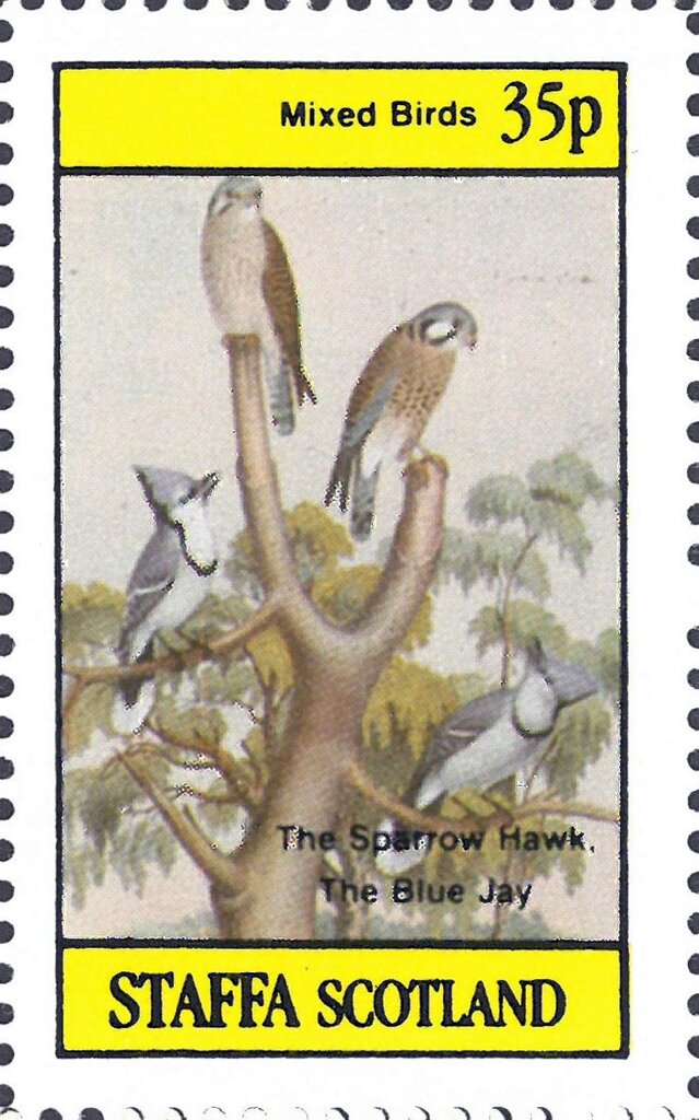 Mixed Birds