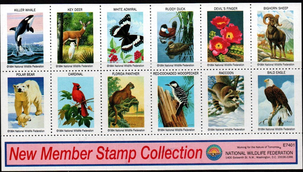 Fauna of North America