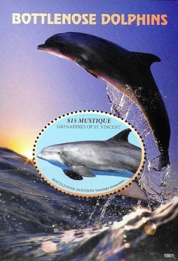 Bottlenosef dolphins