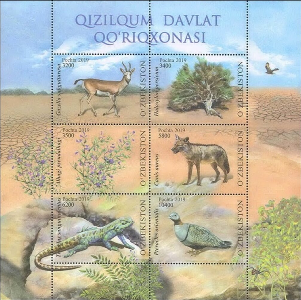 Flora & Fauna of the Kizil Kum Desert