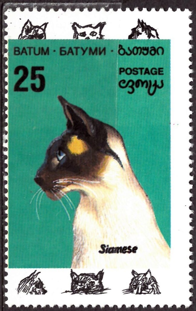 Siamese