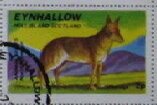 Stamp, Wolf, Cinderellas,  , Animals (Fauna), Wolves