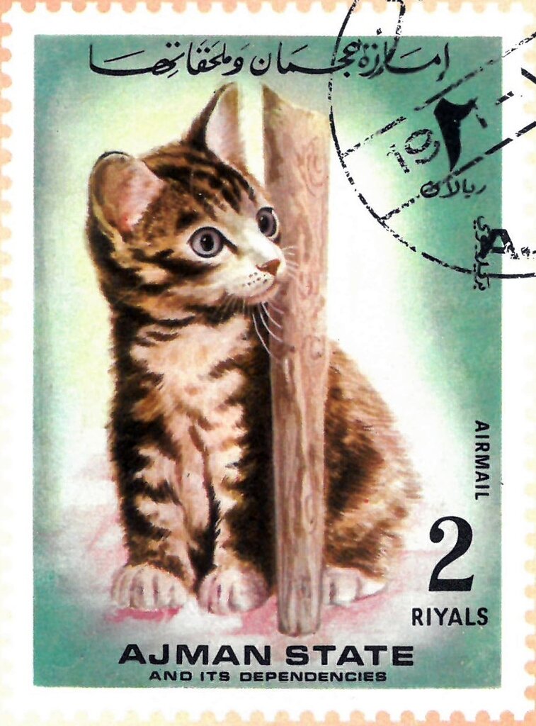 Kitty