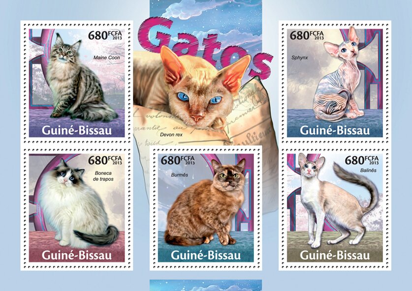 Cats