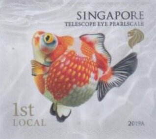 Telescope Eye
