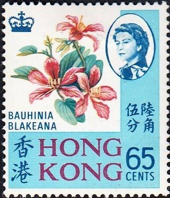 Bauhinia Blakeana
