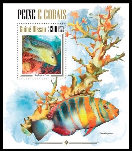 Corals Fishes