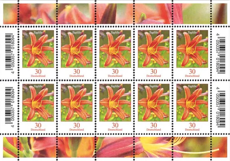 Tiger Daylily (Hemerocallis fulva)