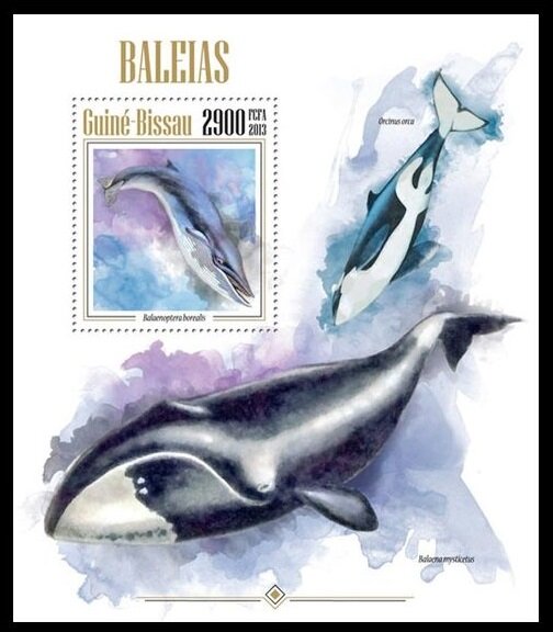 Whales