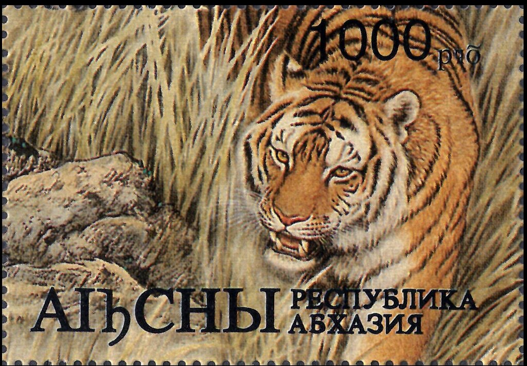 Year of the Tiger 1998