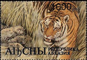 Stamp, Year of the Tiger 1998, Cinderellas,  , Chinese New Year