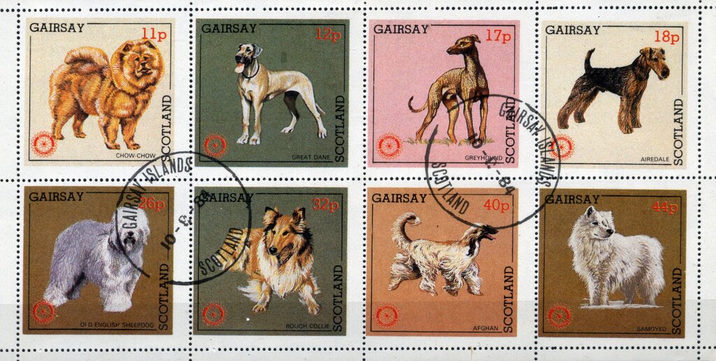 Dogs