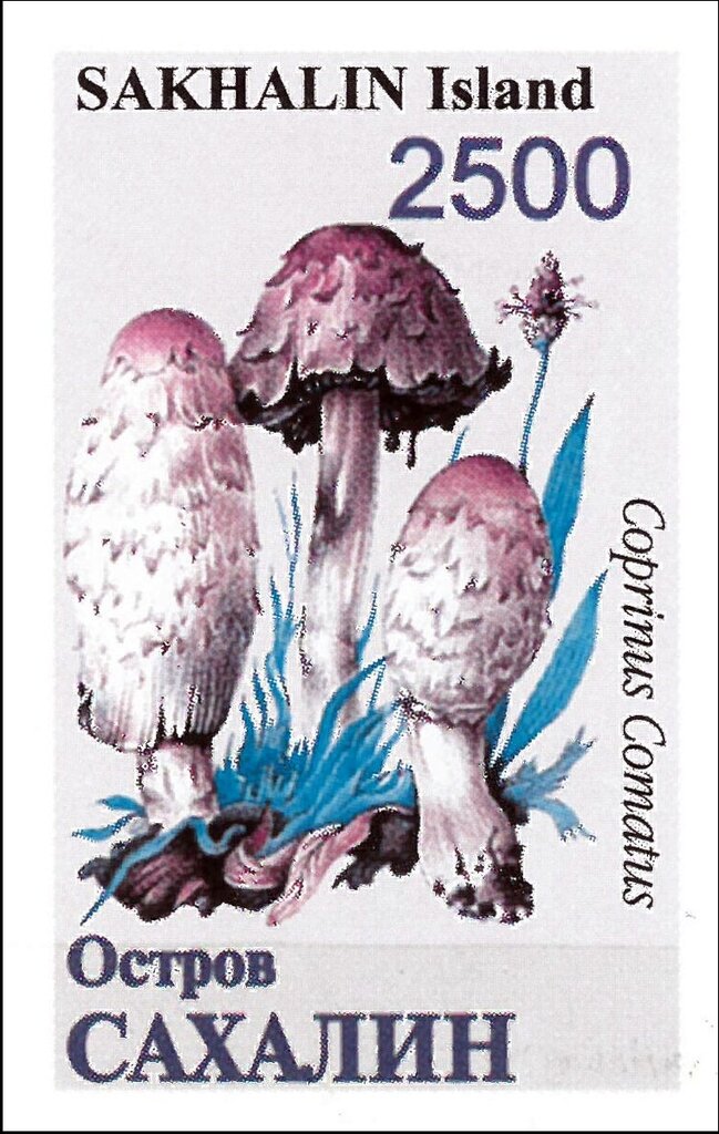 Mushrooms