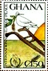 Dove, Plow
