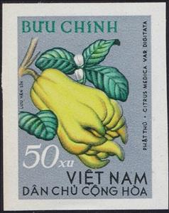Stamp, Buddhas hand (Citrus medica var digitata), Vietnam,  , Fruits, Plants (Flora)
