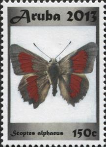 Stamp, Scoptes alphaeus, Aruba,  , Animals (Fauna), Butterflies, Insects