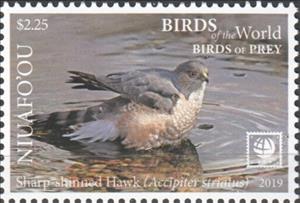 Stamp, Sharp-Shinned Hawk, Niuafo'ou,  , Birds, Birds of Prey