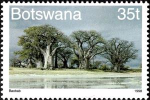 Stamp, Baobab tree (Adansonia digitata), Botswana,  , Landscapes