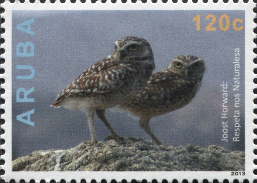 Joost Horward: Owls