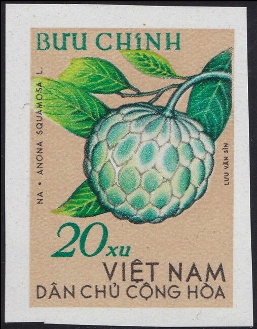 Custard apple (Anona squamosa)