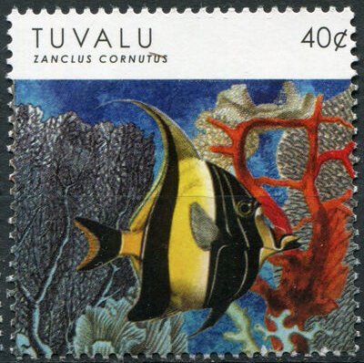 Zanclus Cornutus