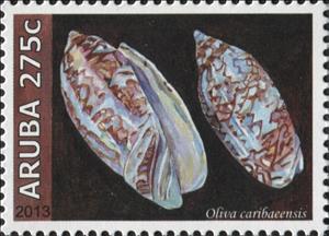 Stamp, Oliva caribaeensis, Aruba,  , Animals (Fauna), Molluscs, Sea Life, Shells, Snails and Slugs